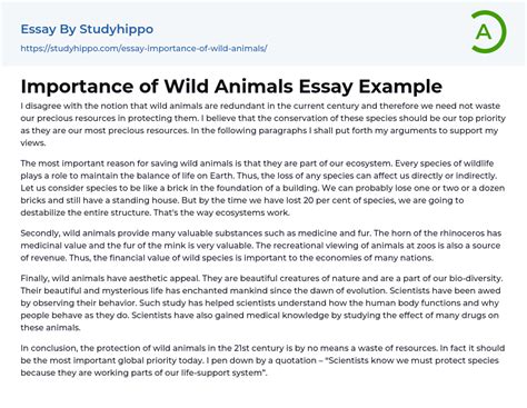 Important Animals Essay