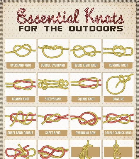 Important Camping Knots