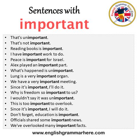 important in a sentence examples