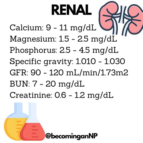 Important Lab Values For Kidney Function