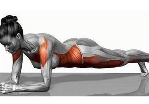 Important Of Plank Exercise