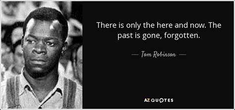 important quotation from tom robinson