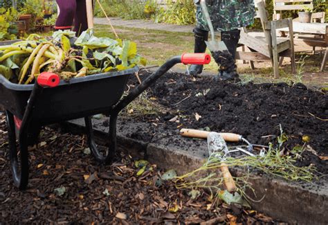 Useful tips on how to improve the soil in your garden during the winter