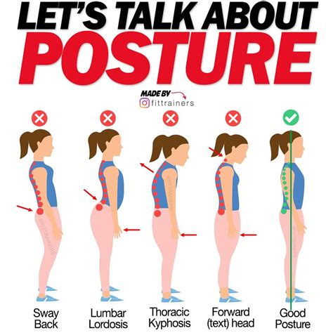 improved posture with a long body