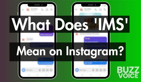 ims mean in text