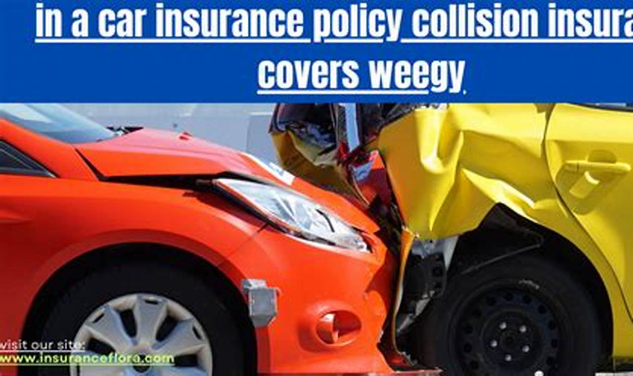 in a car insurance policy collision insurance covers weegy