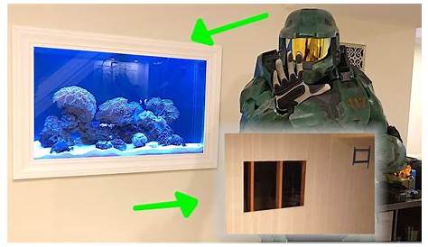 In Wall Aquarium Build How Is This wall ?! 😍 How Would You