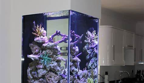 We designed and installed this bespoke marine aquarium in