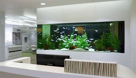 How Much Does a Fish Tank in the Wall Cost in 2021