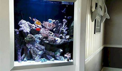 In Wall Fish Tank Framing Mounted Picture Frame Aquarium &
