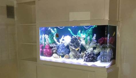 In Wall 600 Gallon with Faux Reef Aquarium Maintenance