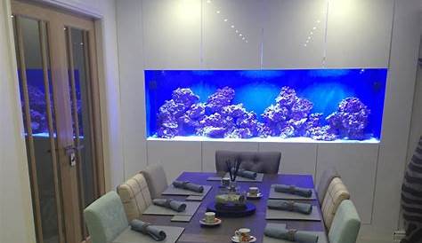 In Wall Fish Tanks Aquarium 10 Amazing s Submitted By Our Users Nualgi