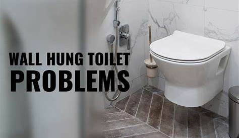 In Wall Toilet Tank Problems Issues Plumbing DIY Home Improvement