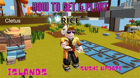 in Roblox island how to plant rice seed｜TikTok Search