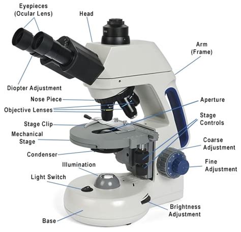 In A Compound Microscope The Intermediate Image In Normal Use Is