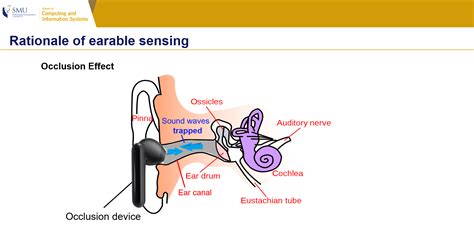 In Ear Monitor Occlusion