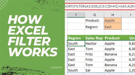 Excel Filter Tips