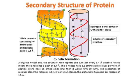 In Proteins Elements Of Secondary Structure Combine To Form A