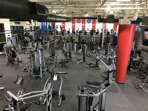 Shape Magazine GZen Among Nation's Best Branford, CT Patch