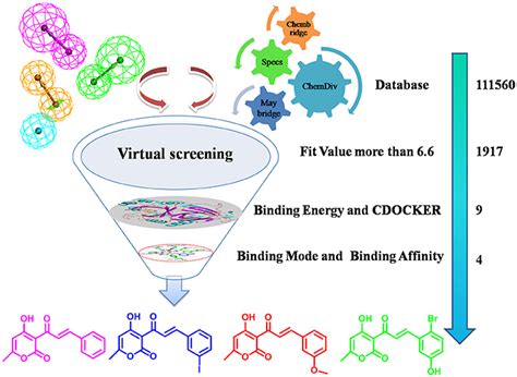 in silico screening and molecular docking