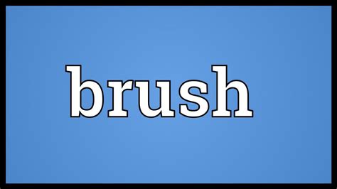 in the brush meaning