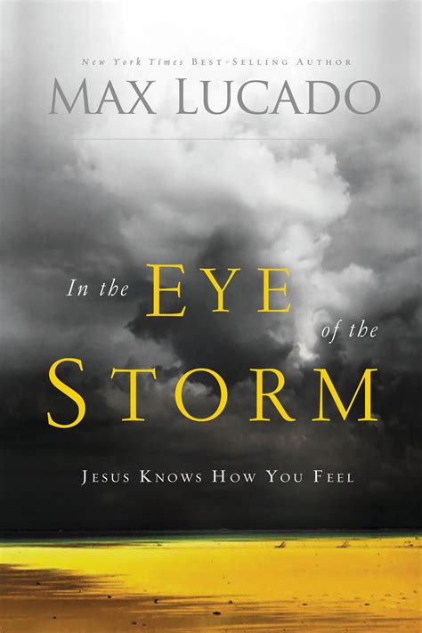 in the eye of the storm book