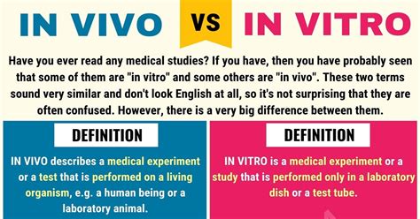 in vitro and in vivo difference