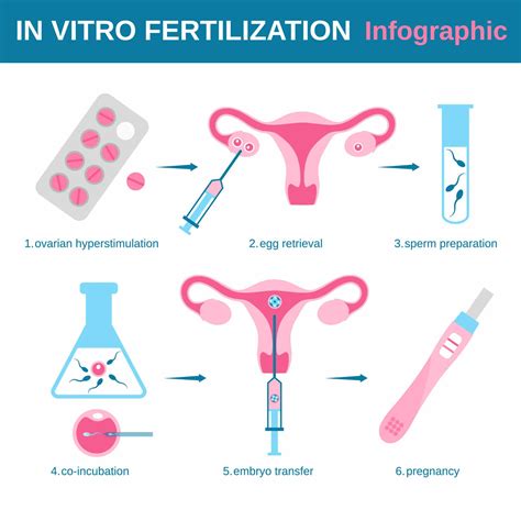 in vitro fertilisation meaning