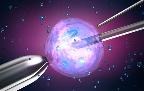 in vitro fertilization mexico