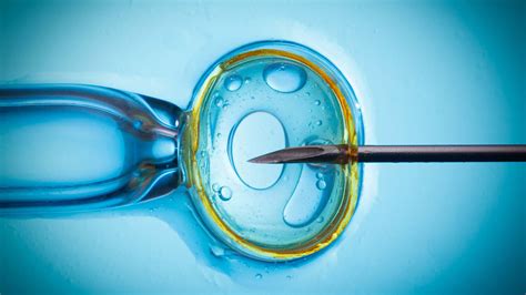 in vitro fertilization nedir