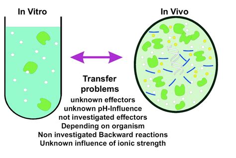 in vitro in vivo adalah