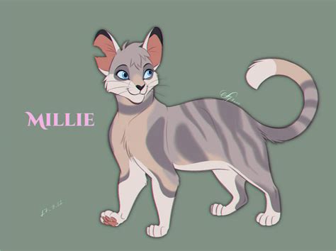 in warrior cats who was before millie