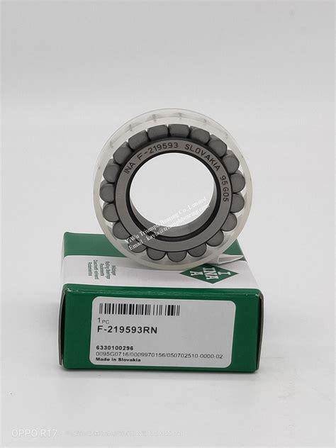 Ina Full Complement Cylindrical Roller Bearing