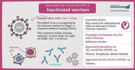 inactivated vaccine definition