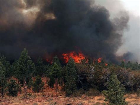 incêndio florestal na argentina