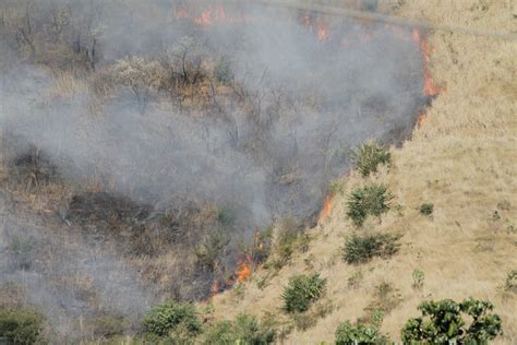 incêndios de grandes proporções no brasil