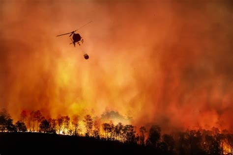 incêndios florestais causas e consequências