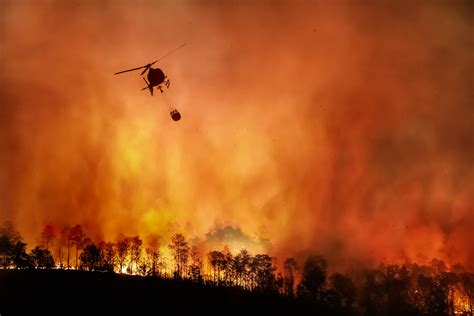 incêndios florestais no brasil