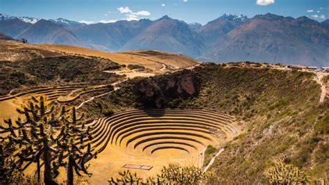 Full Everything About Incan Science / Technology: Features, Costs, and Real Benefits Update