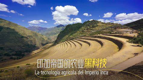 Everything About Incan Science / Technology: Features, Costs, and Real Benefits