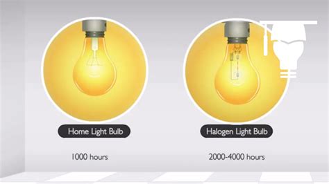 Incandescent Lights Vs Halogen