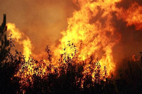 incendios florestais em portugal