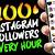 increase followers on instagram free