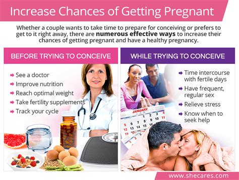 Boost Fertility: 7 Proven Ways to Increase Chances of Pregnancy