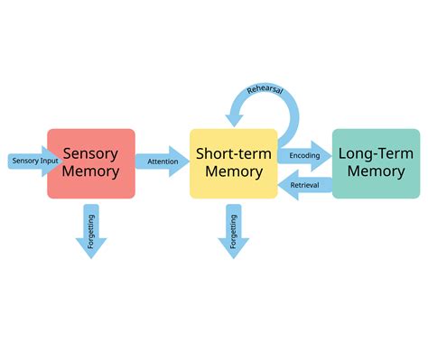 Boost Long Term Memory