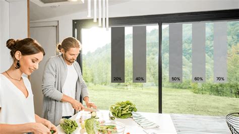 Increased privacy tinted windows