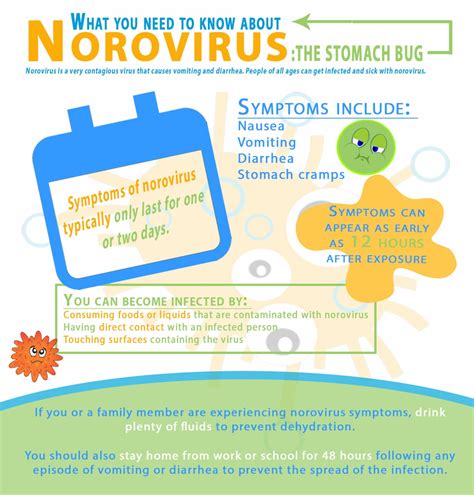 incubation period for norovirus illness