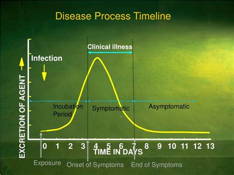 incubation time for norovirus