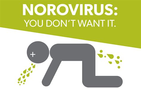 incubation time for norovirus infection