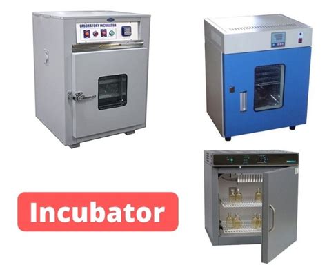 Incubator Definition And Function